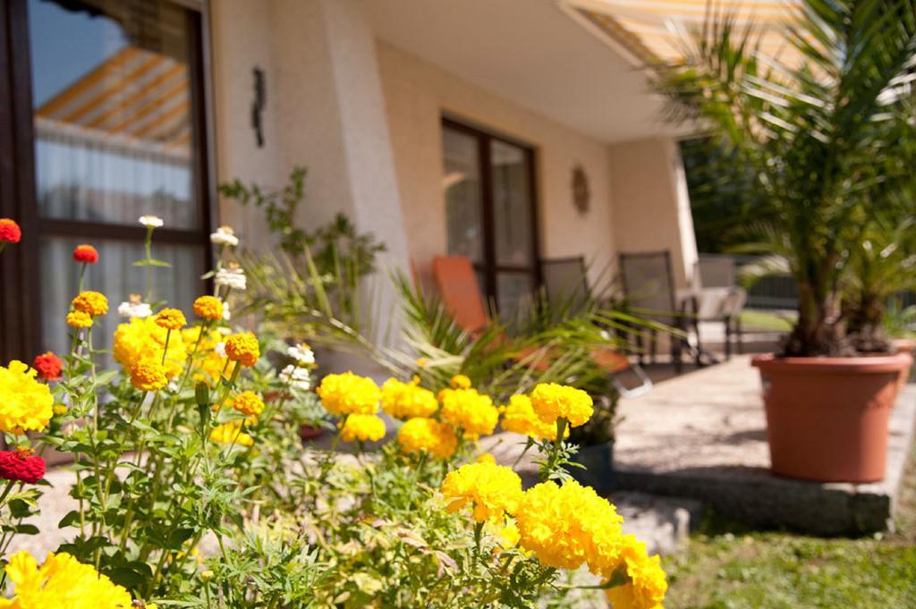 Apartment Voelkl Bobrach