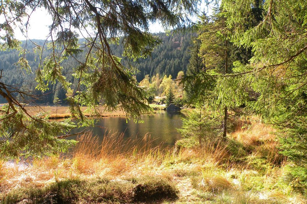 Voelkl * Bobrach