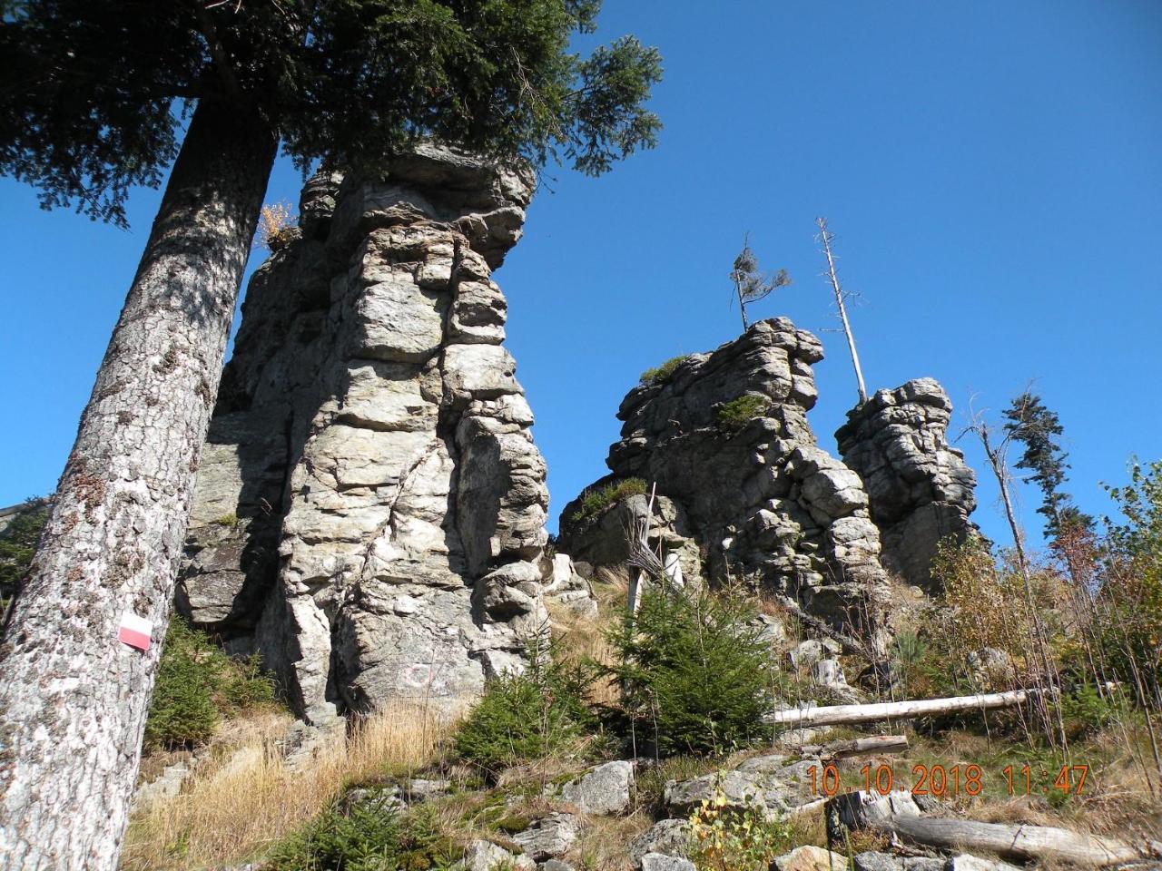 Voelkl Appartement